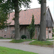 Bild - 3